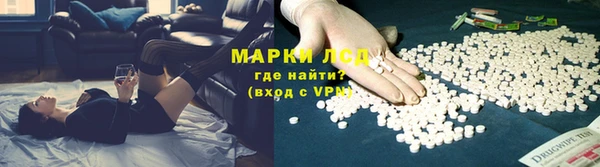 спиды Аркадак