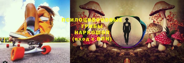трава Армянск