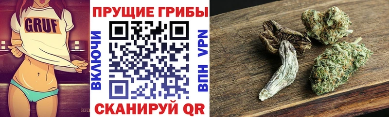 Купить  Энгельс  Галлюциногенные грибы Psilocybe 